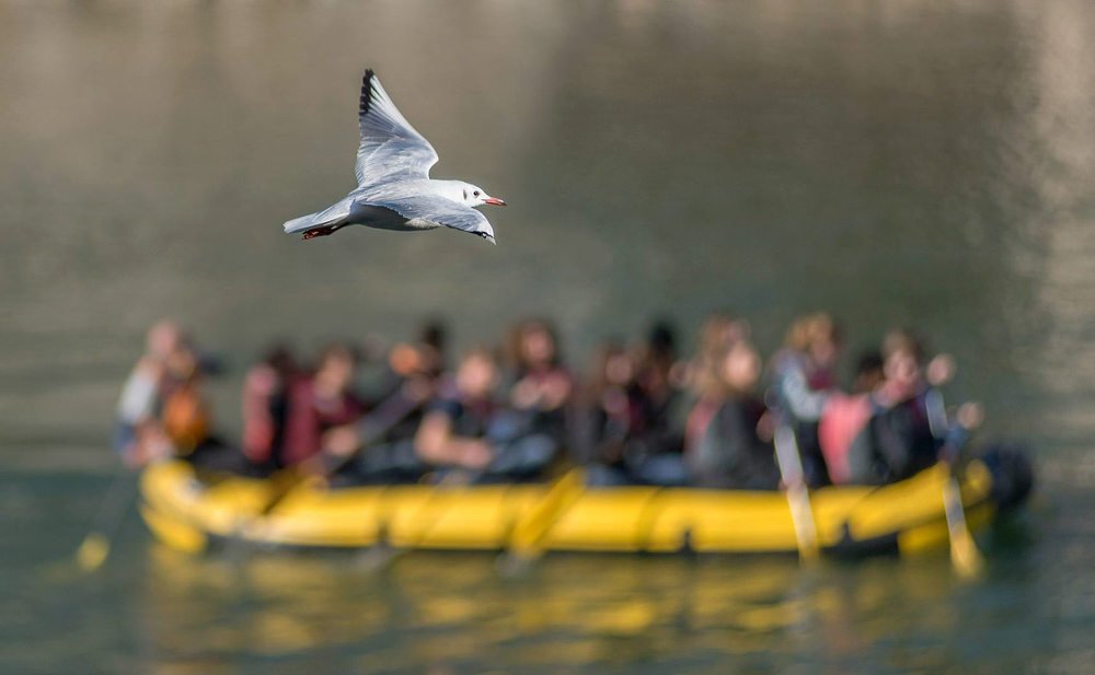 Photograph by Victor