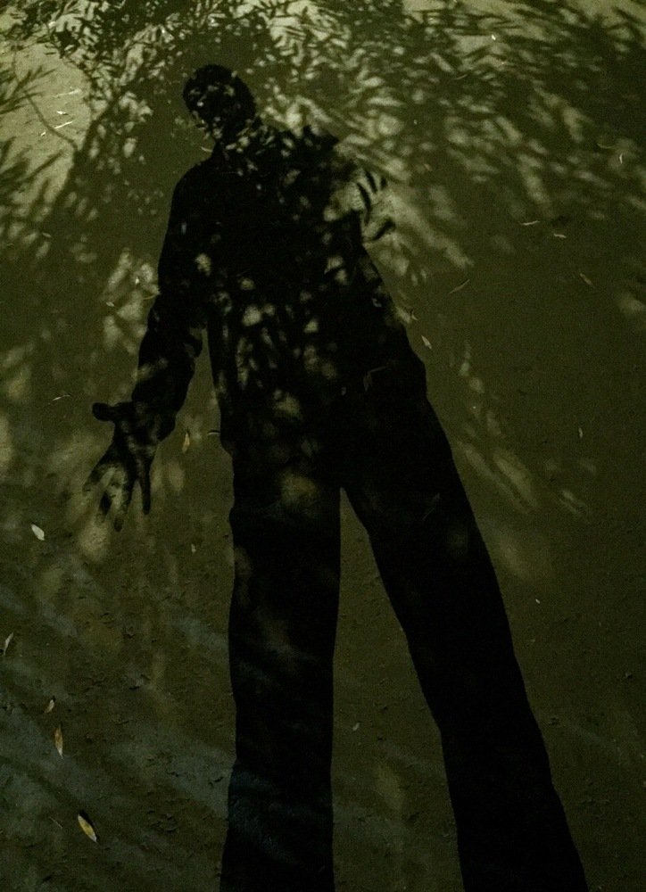 Тень в тени