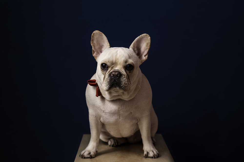 Photograph by Duharte Marie