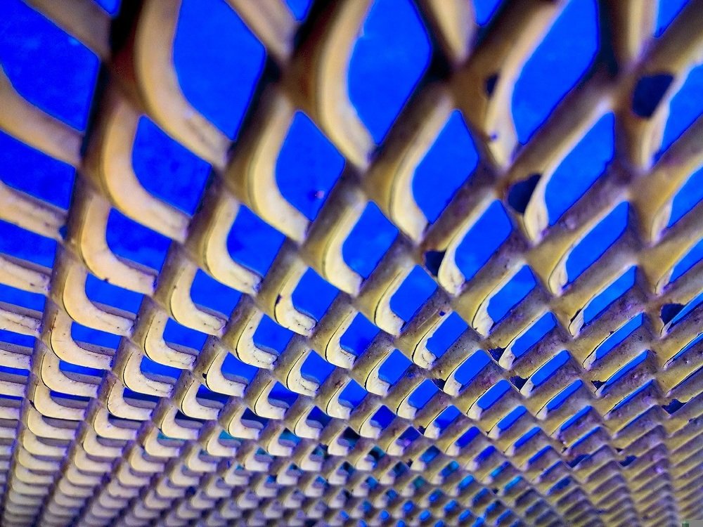 Photograph by GLEYDA GUTIÉREZ