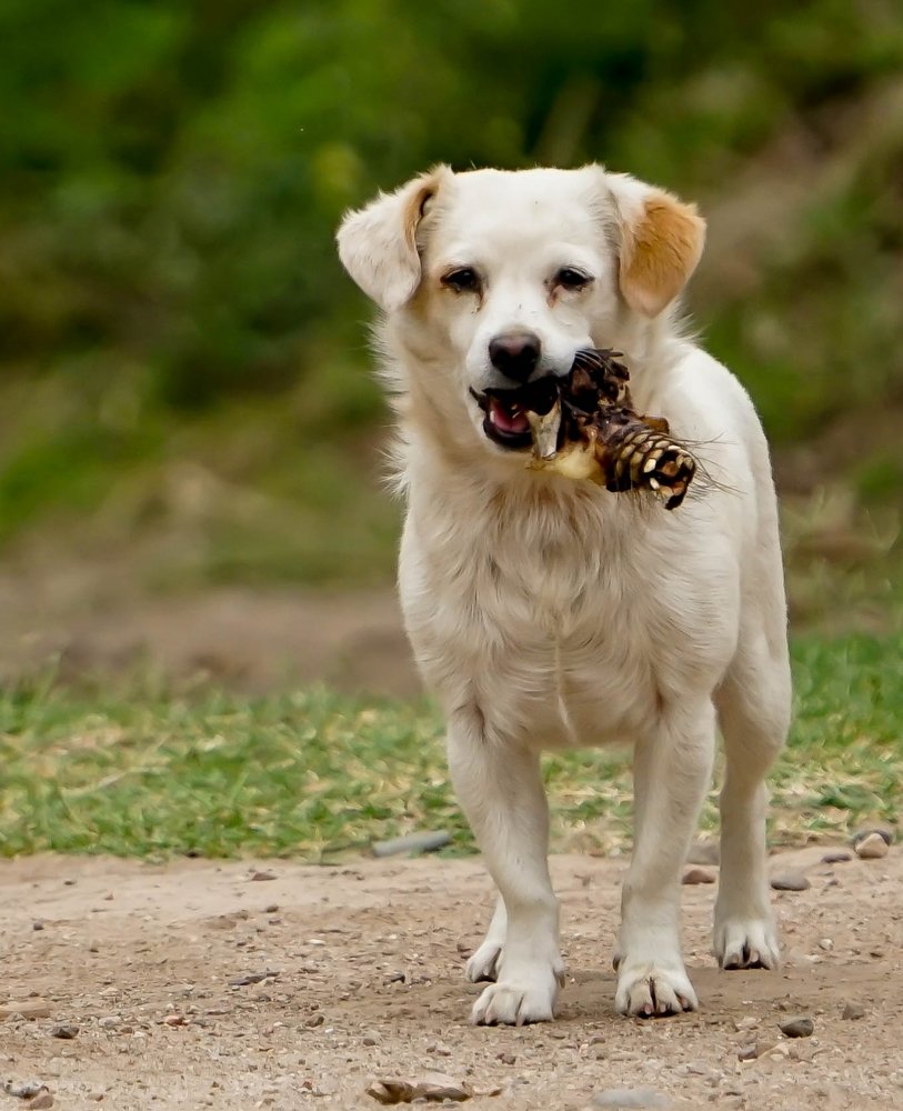 Photograph by Karina Elena Bergagna