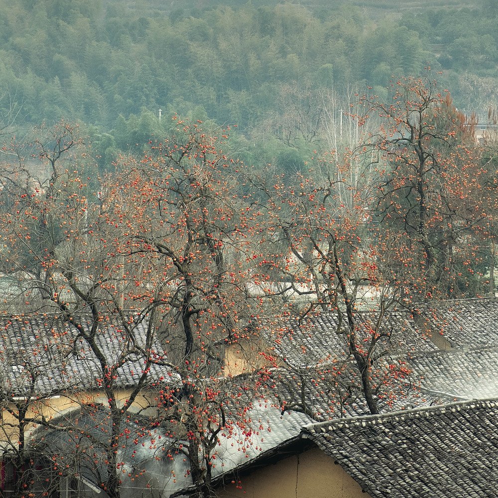 Фотография автора soo mui loh