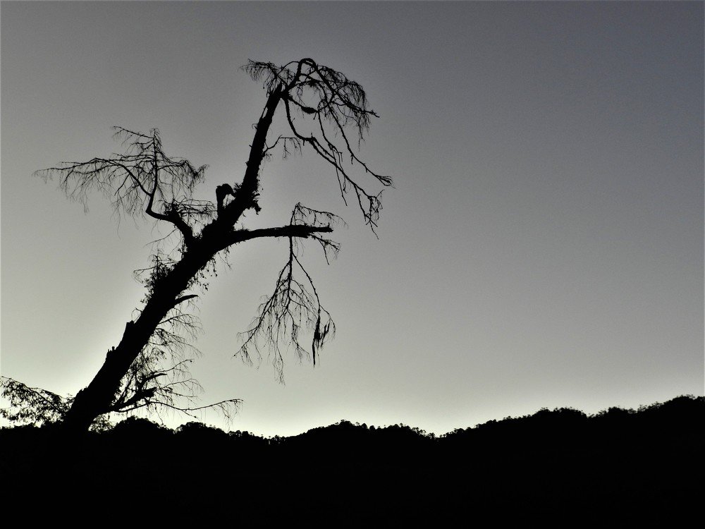 Photo #5211126