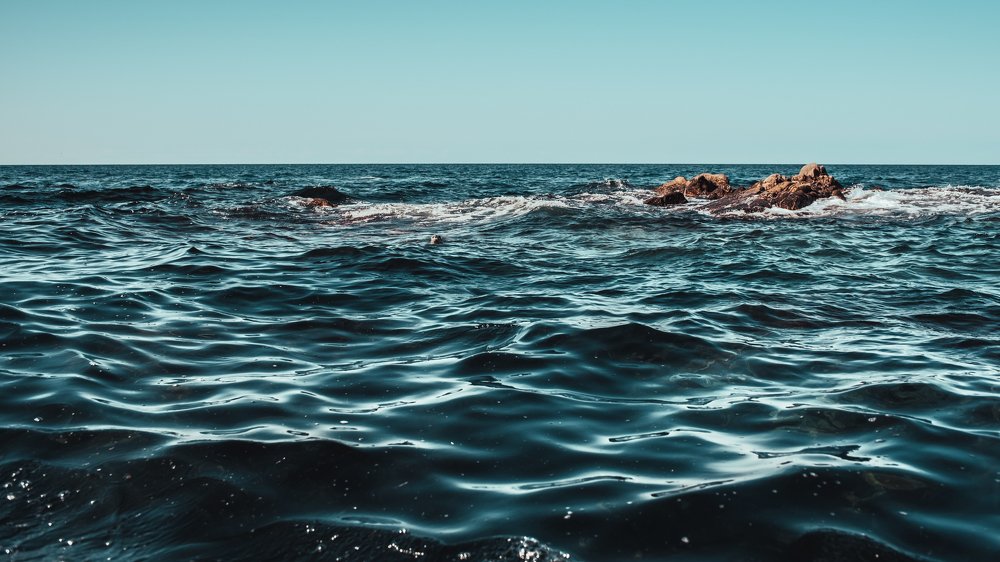 Photograph by Елена Скакун