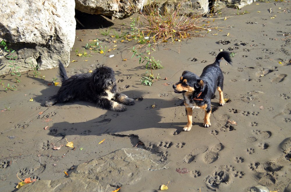 Photograph by Владимир Караман