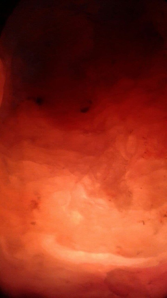 Фотография автора Веста Ягужинская