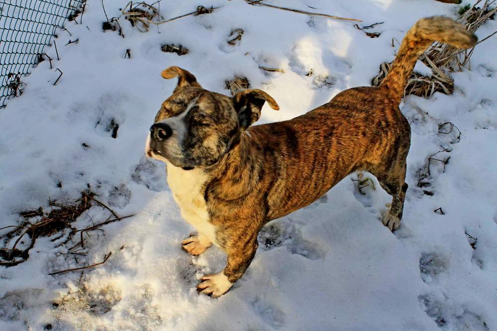 Photograph by Татьяна Перегудова