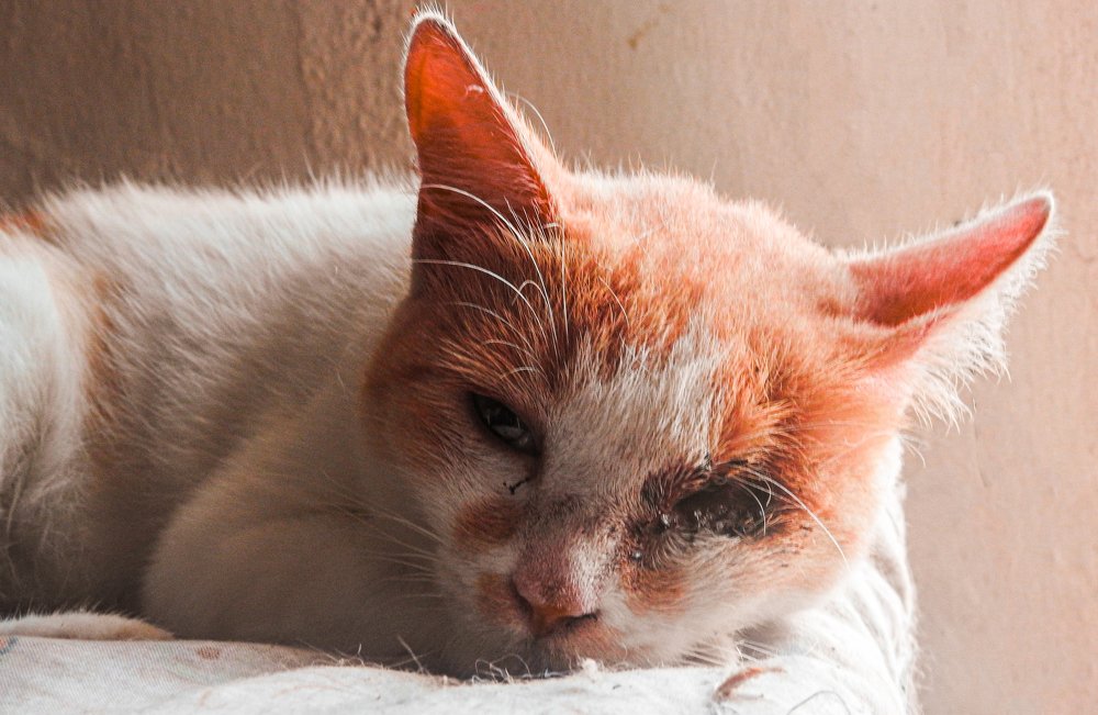 Photograph by Javier Rodriguez Rigual