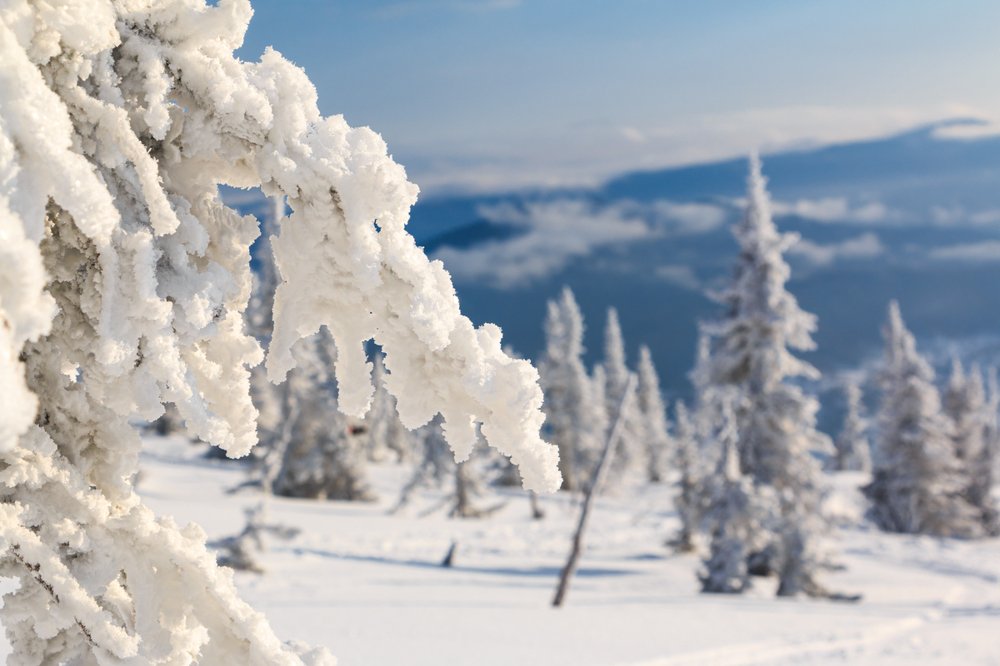 Photograph by Алексей Яковлев