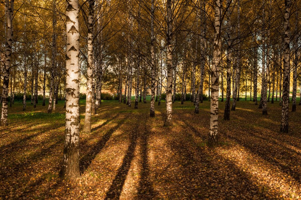 Photograph by Виктор Черкасов