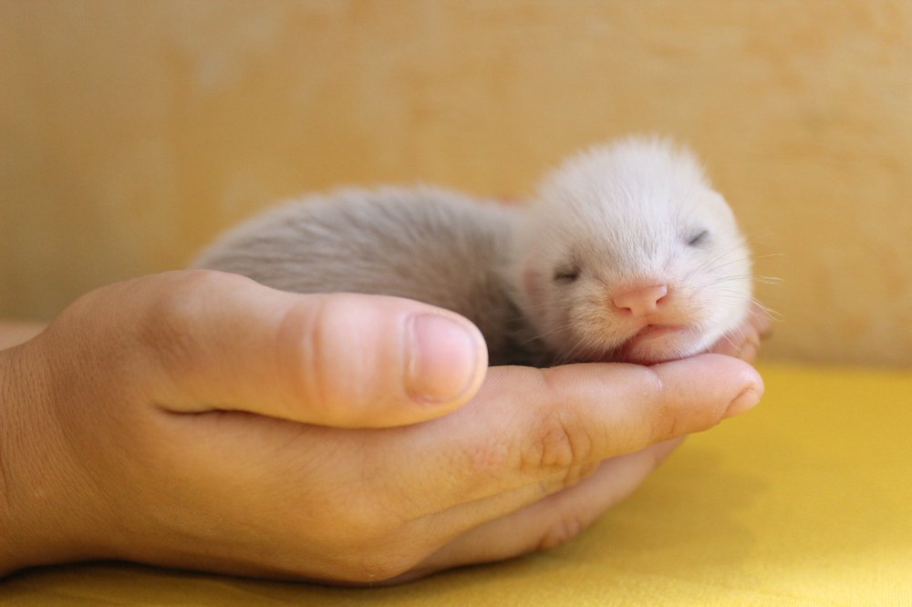 Photograph by Антонина Свешникова