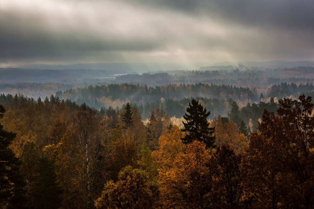 Photograph by Zenonas Mockus