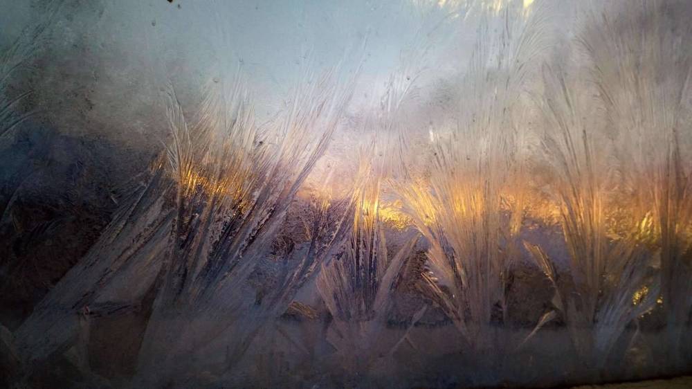 Photograph by Светлана Лехмус