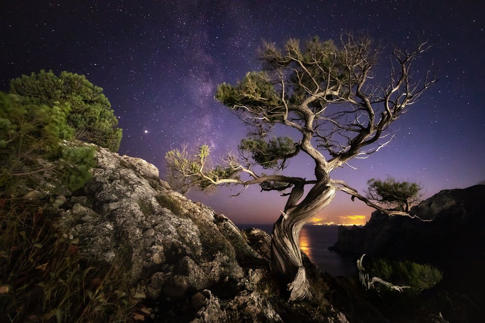 Photograph by Станислав Аристов