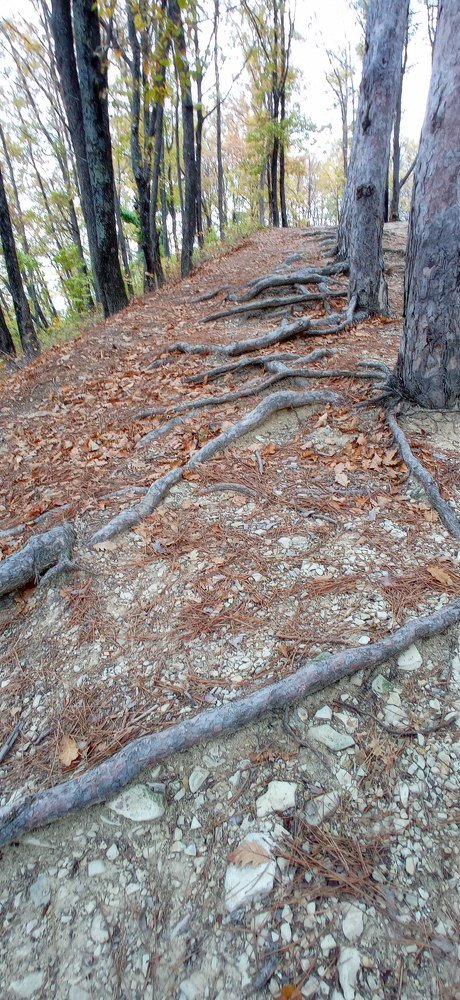 Photograph by Виктория Данилова