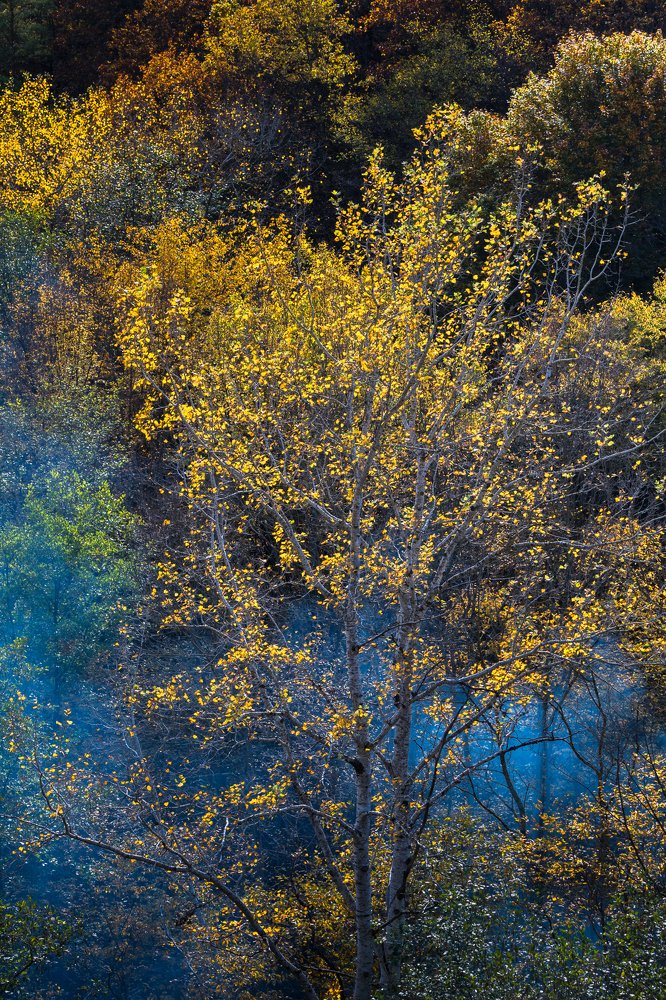 Photograph by Юрий Шумейко