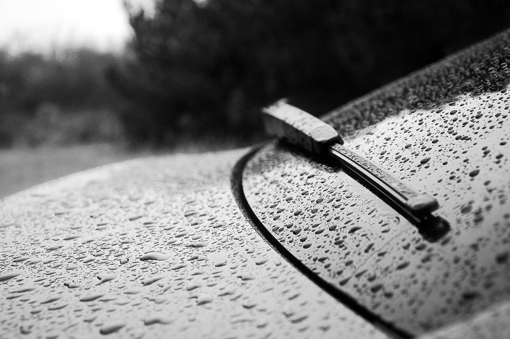 Photograph by БРОВКО АЛЕКСАНДР ИВАНОВИЧ