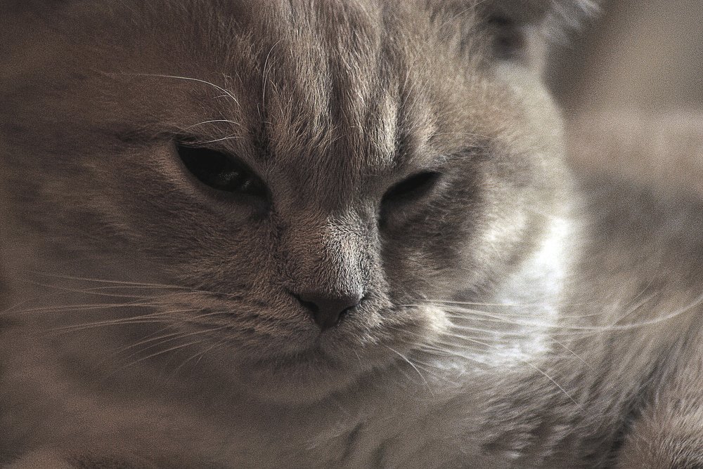 Photograph by БРОВКО АЛЕКСАНДР ИВАНОВИЧ