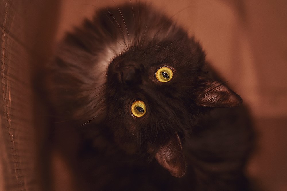 Всегда начеку