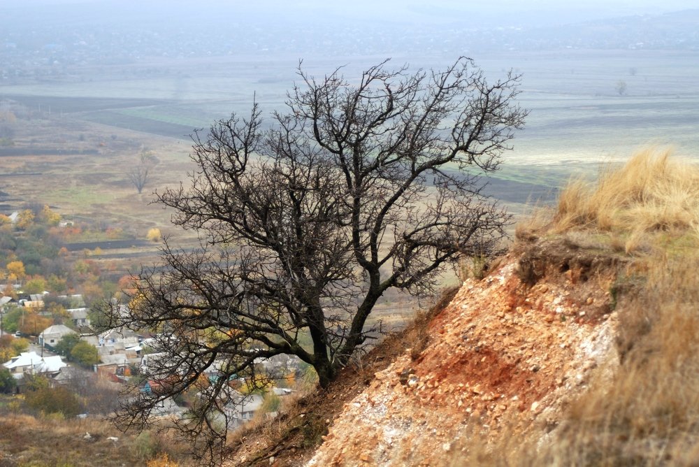 Photograph by БРОВКО АЛЕКСАНДР ИВАНОВИЧ