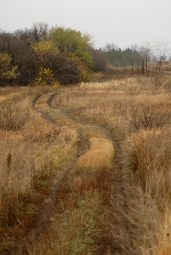 Photograph by БРОВКО АЛЕКСАНДР ИВАНОВИЧ