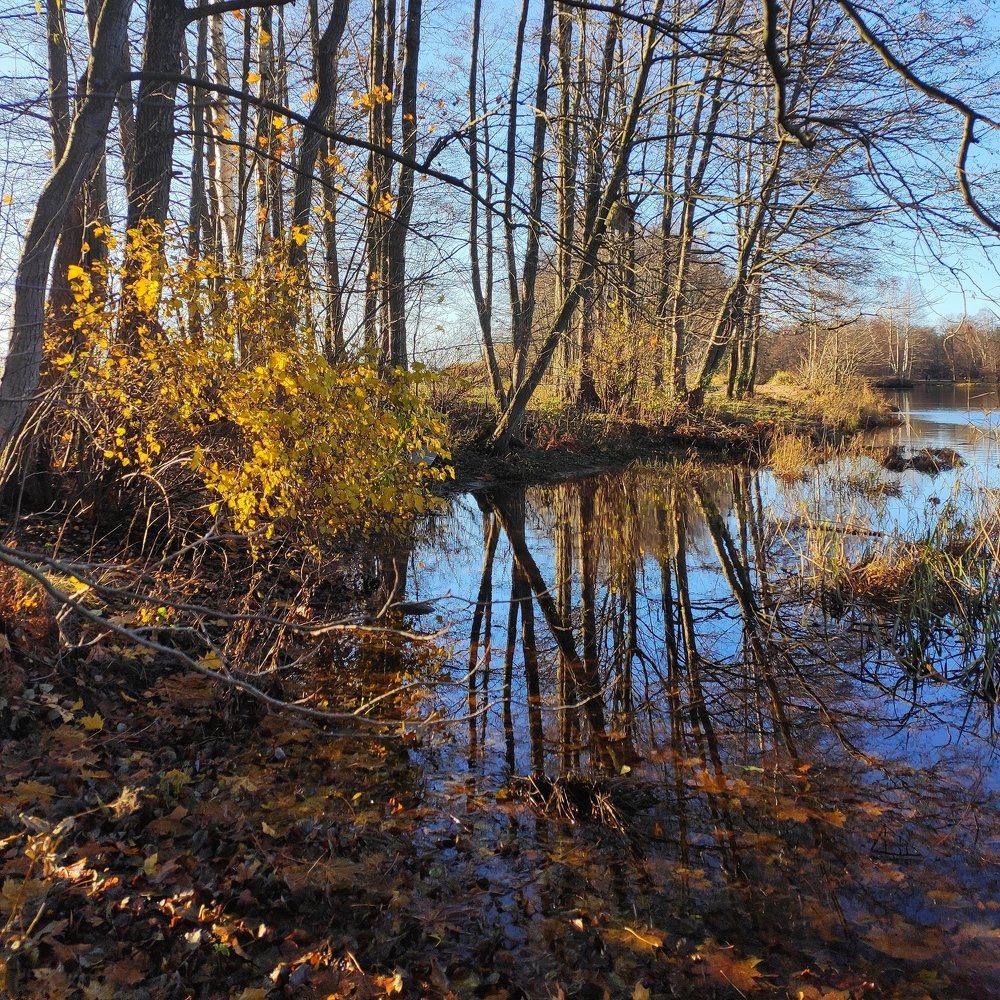 Photograph by Елена Павлова
