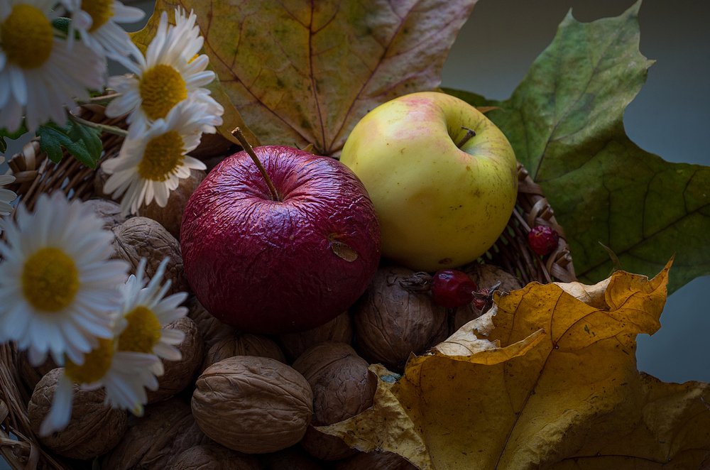 Photograph by Андрей Бурда