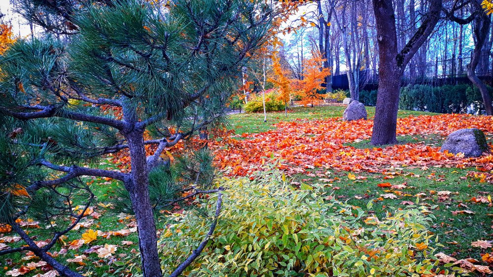 Photograph by Zinaida Nesselmann