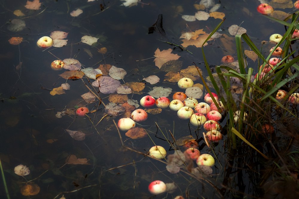 Photograph by Чистякова Валерия