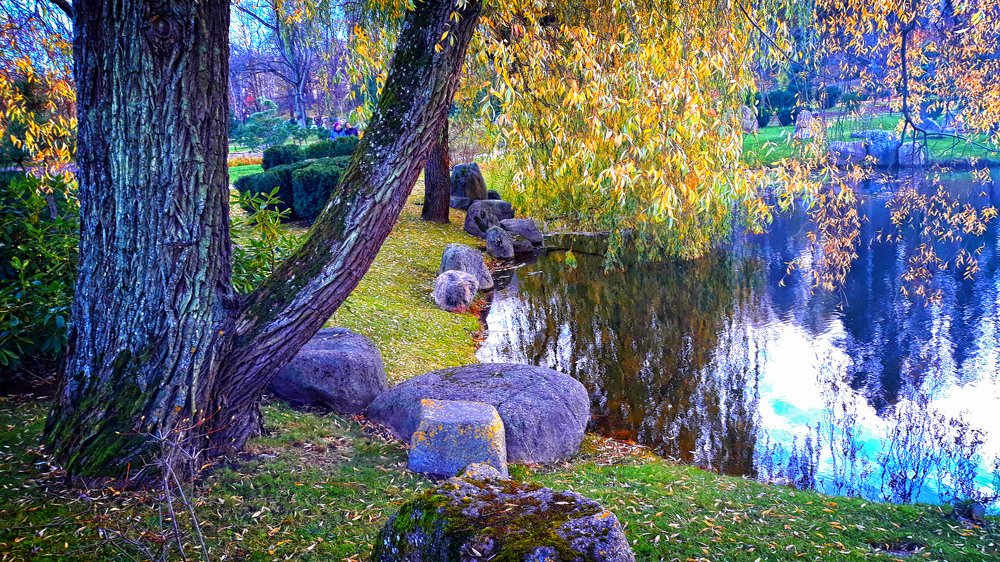 Photograph by Zinaida Nesselmann