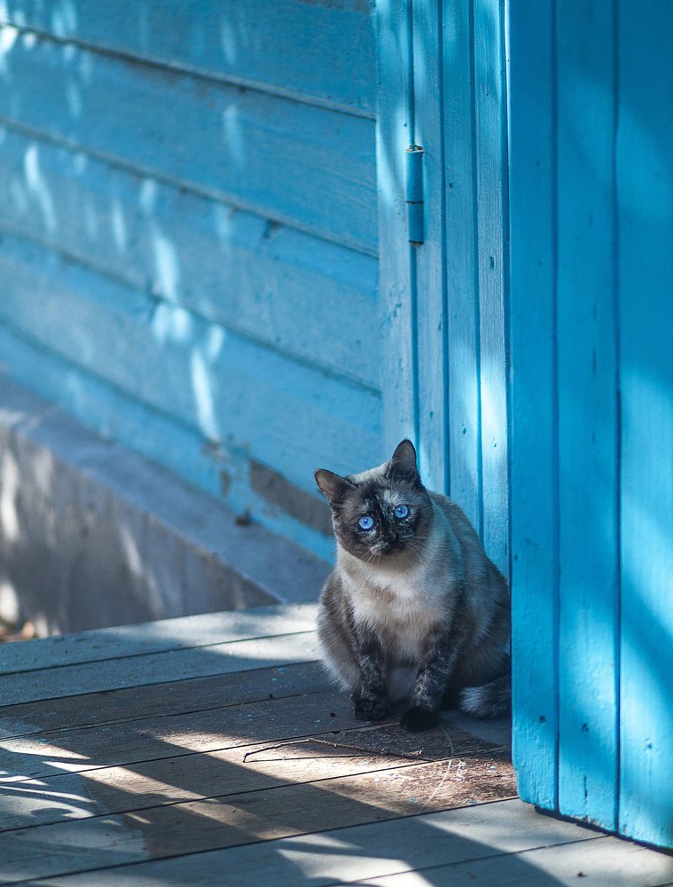 Photograph by Светлана Кавказская