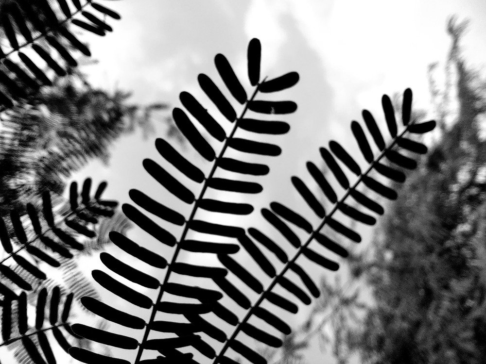 Photograph by Abhishek Das