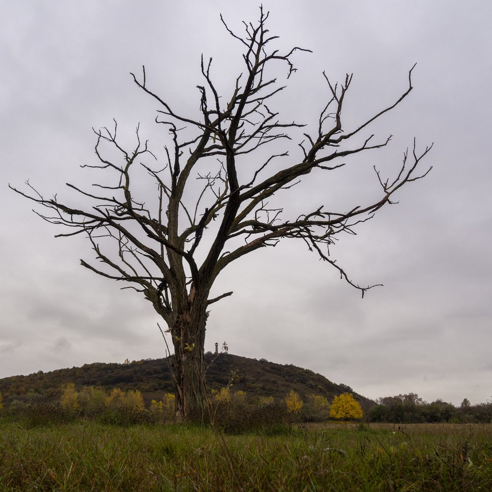 Фотография автора Denes Doma