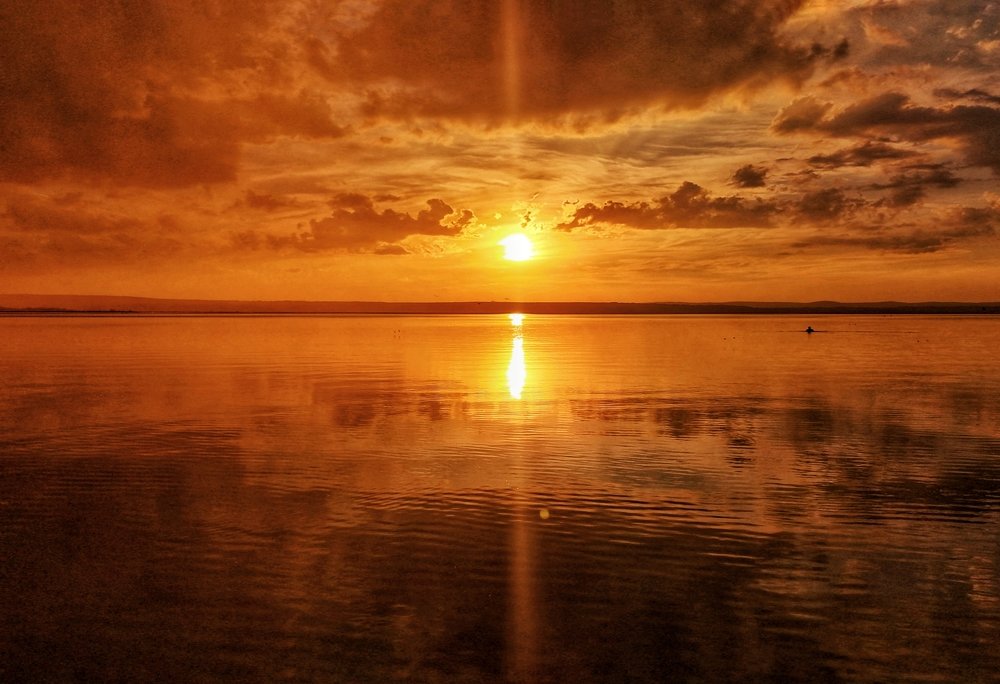 Photograph by Eva Wiedemann