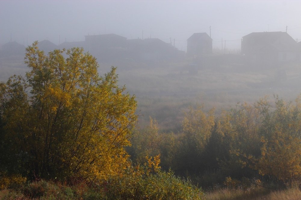 Photograph by Александр Велигура