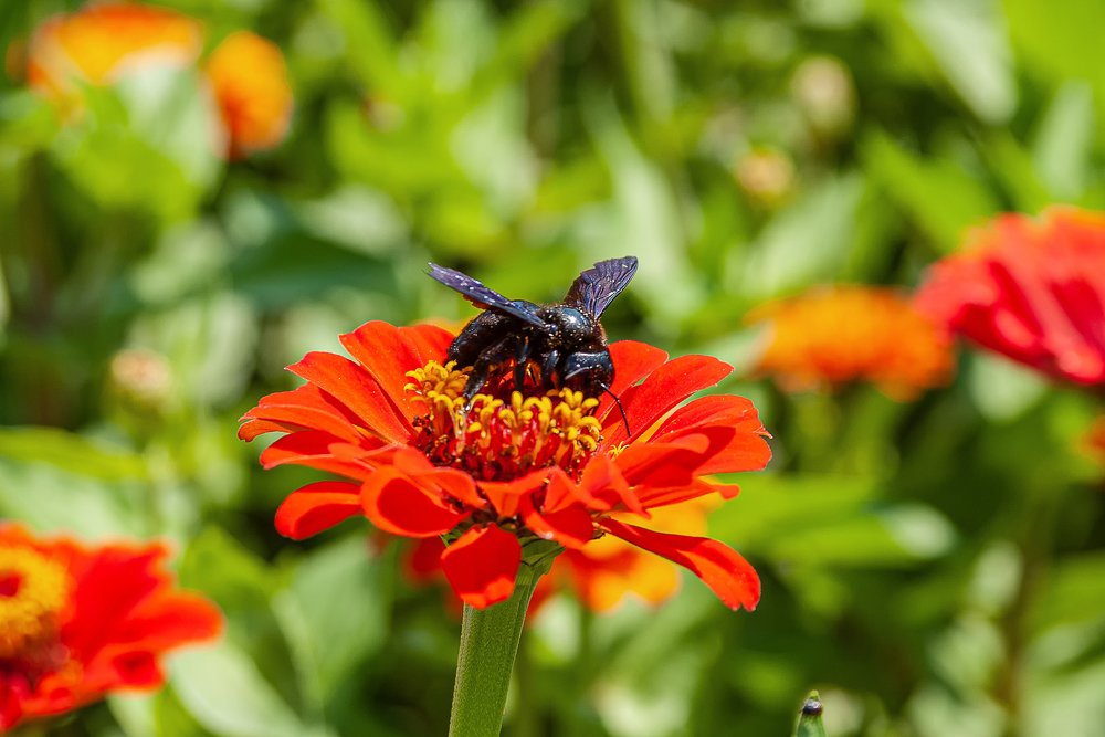 Photograph by Роман Приходько