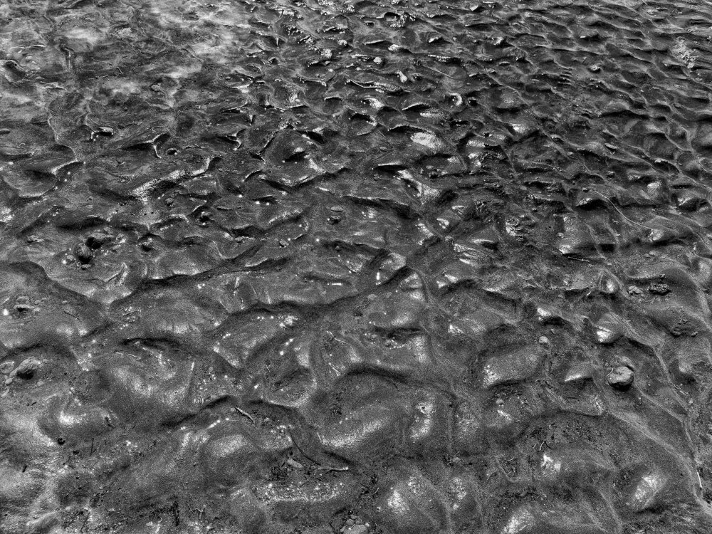 Photograph by Abhishek Das