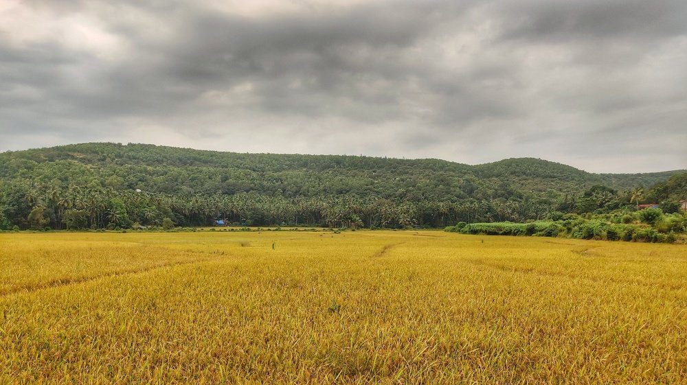 Photograph by Ajit Avabhrath