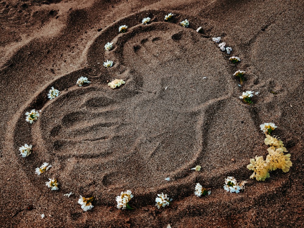 Фотография автора Иван Разиньков