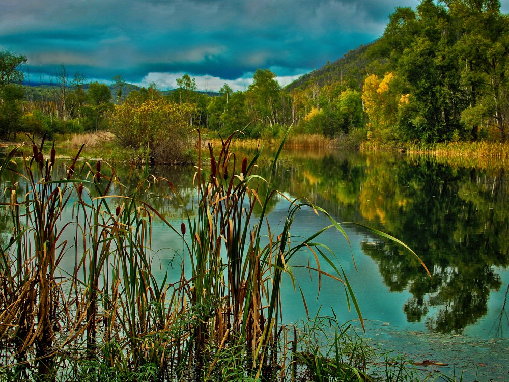 Photograph by Виктор Егоров