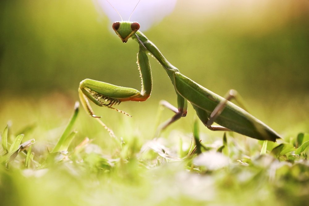 Photograph by Yaniv Abramovitz