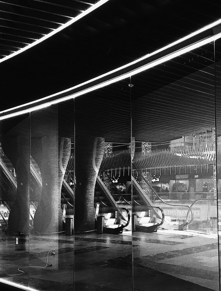 Photograph by Мария Шибанова