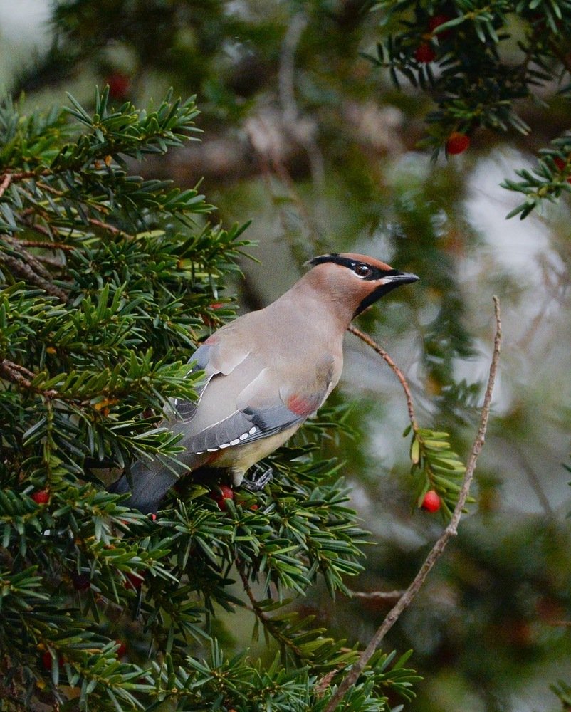 Photograph by Анастасия Мирошникова