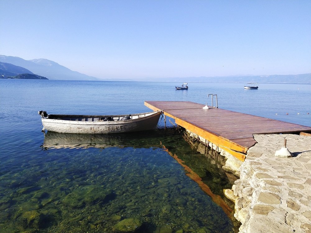 Photo #5212420