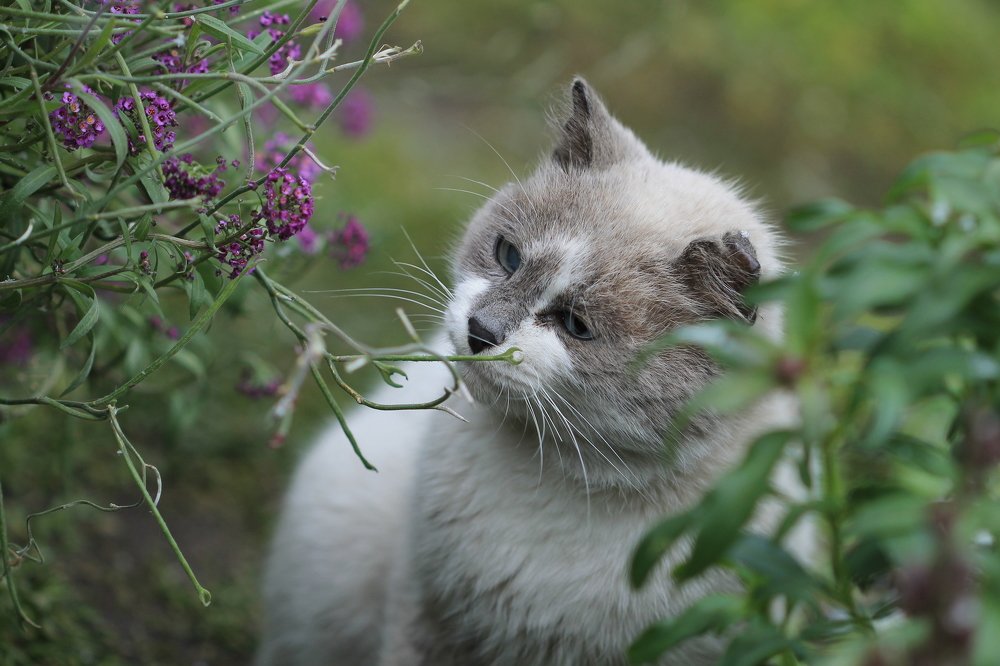 Photograph by Леунина Людмила
