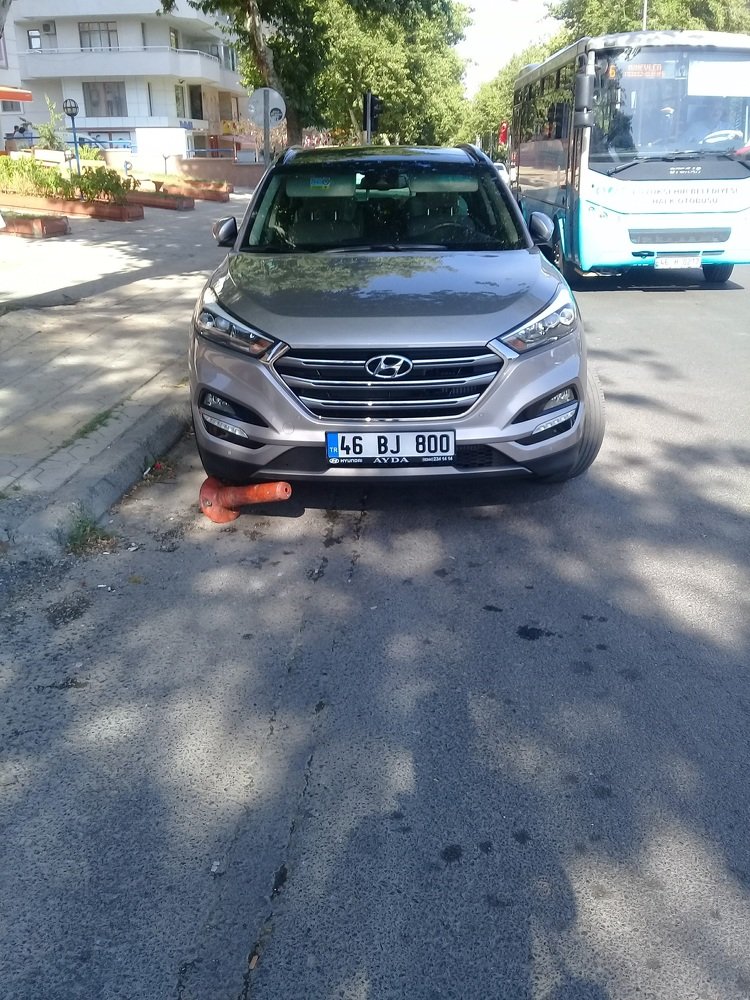 Фотография автора Bahaaddin Saber