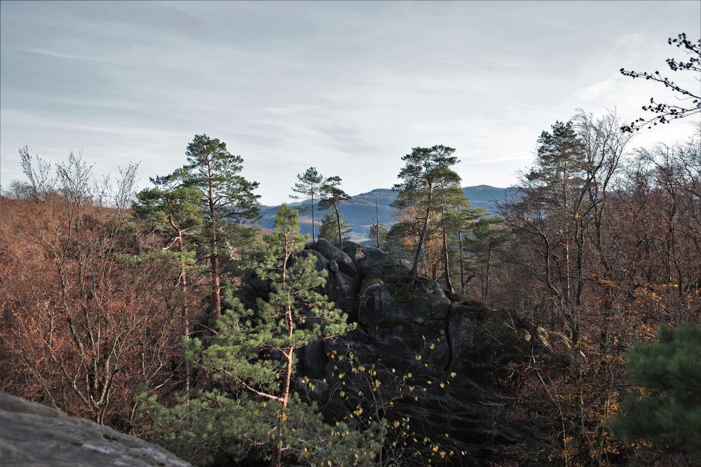 Photograph by Андрей Телибаев