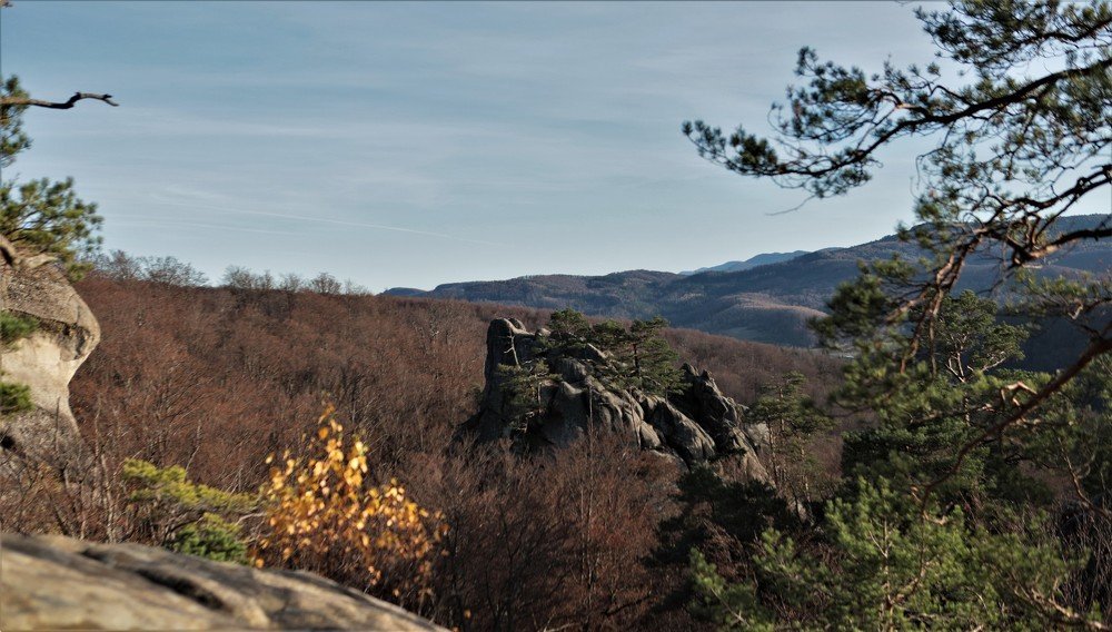 Photograph by Андрей Телибаев