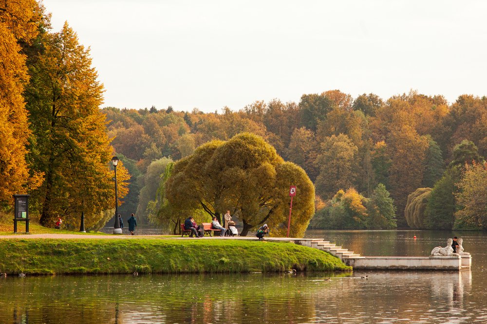 Золотая осень