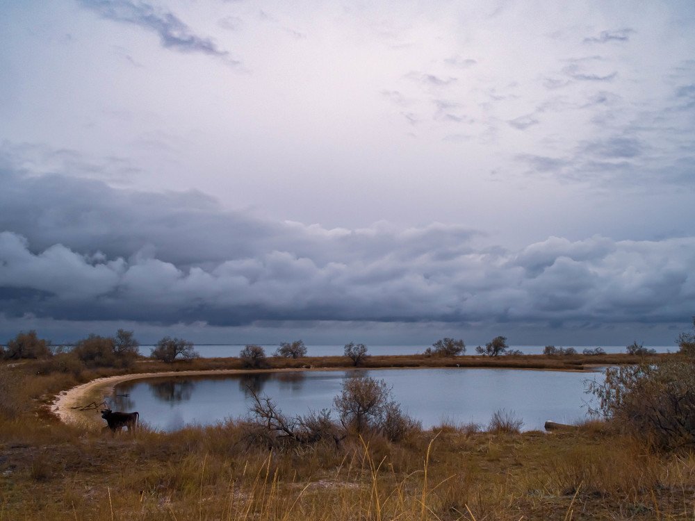 Photograph by Марина Сидоренко